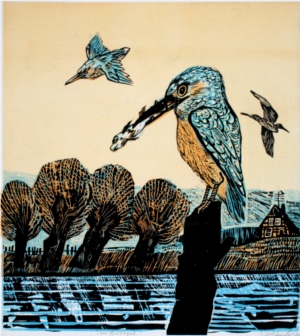 Der Eisvogel Eisvogel